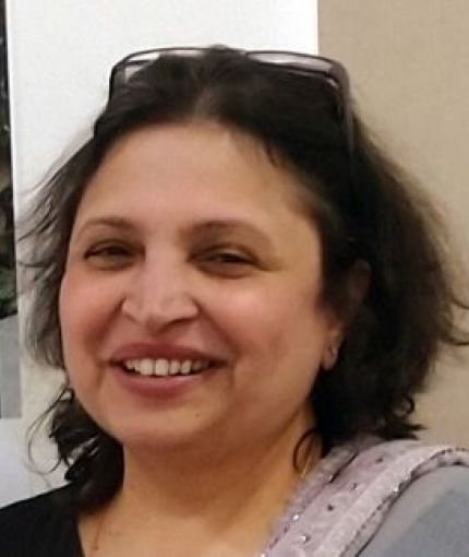 Dina Sidhva photo